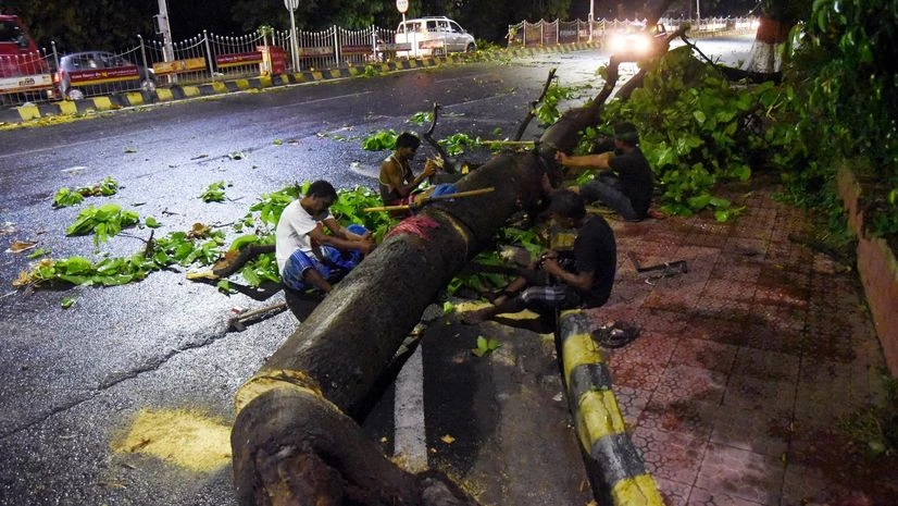 uprooted tree Workers try to clean up an uprooted tree from the street after heavy storm and rain near High Court, in Patna on Saturday.