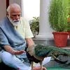 Prime Minister Narendra Modi feeding peacock at his 7 Lok Kalyan Marg residence, in New Delhi.