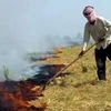 Farmer burns stubble in their fields at Devi Dass Pura in Amritsar district on Saturday.