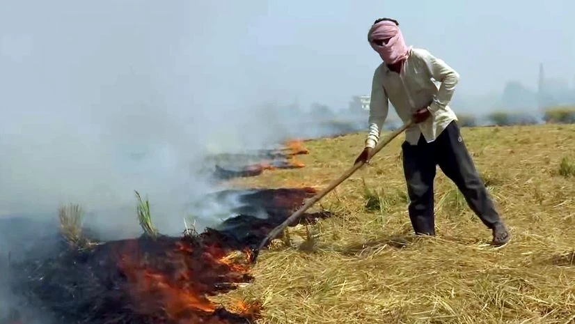 Farmer burns stubble Farmer burns stubble in their fields at Devi Dass Pura in Amritsar district on Saturday.