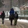 Snowfall, Srinagar