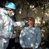 Coronavirus