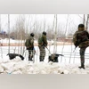 Army soldiers inspect the spot after suspected militants lobbed a grenade on a road opening Party (ROP) in Kulgam district on Wednesday.