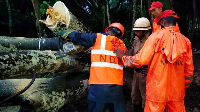 Cyclone Asani NDRF team clearing trees in vulnerable areas as a precautionary measure for the Cyclone Asani, in Andaman on Sunday. Photo: ANI