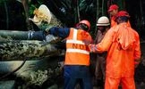 Cyclone Asani NDRF team clearing trees in vulnerable areas as a precautionary measure for the Cyclone Asani, in Andaman on Sunday. Photo: ANI