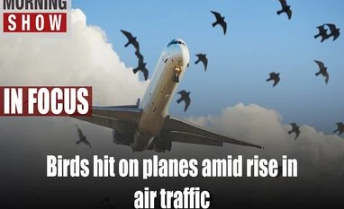 TMSEp198: Bird strike on planes, ex-servicemen jobs, markets, IPO vs FPO TMSEp198: Bird strike on planes, ex-servicemen jobs, markets, IPO vs FPO