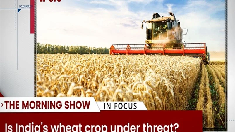 TMS Ep375: Wheat crop, Air India, rice exporters’ shares, political symbols TMS