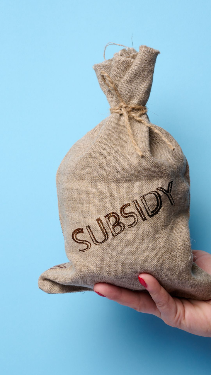 subsidies
