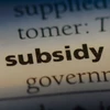subsidy subsidy