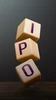 ipo