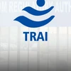 trai trai