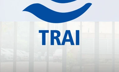 trai trai