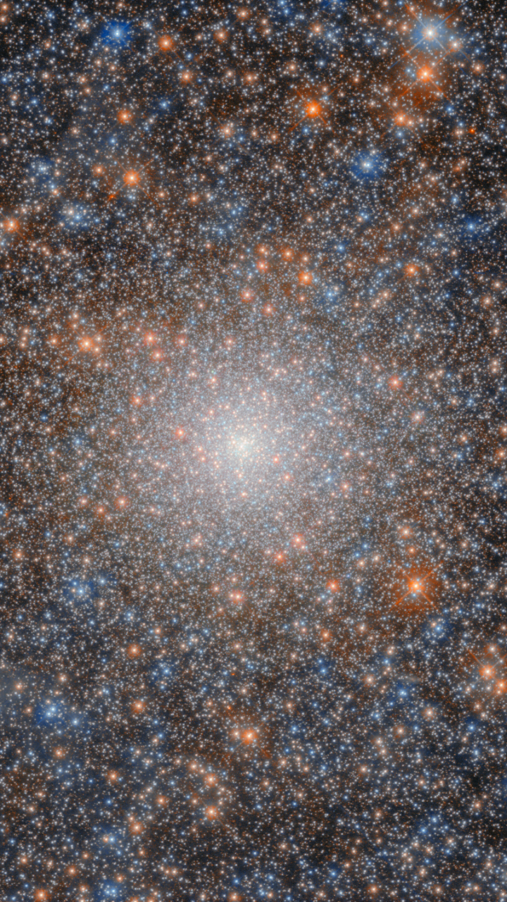 Globular cluster NGC 2005
