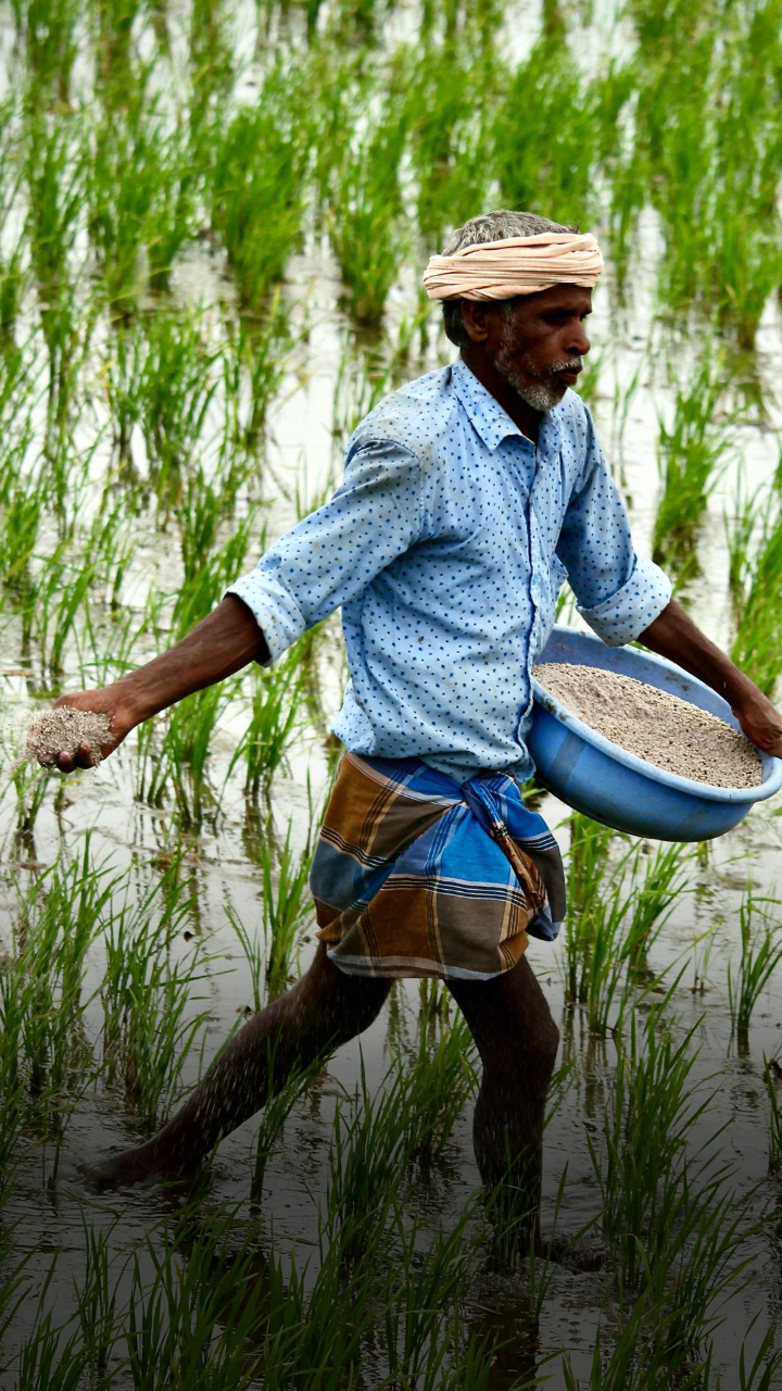 farmer