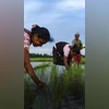 farmers india
