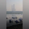 Yamuna pollution Yamuna pollution