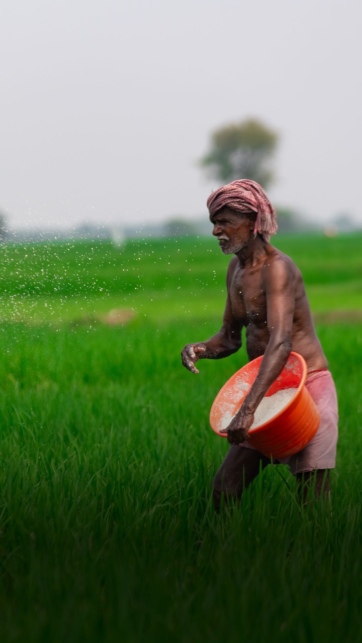 India's farmers