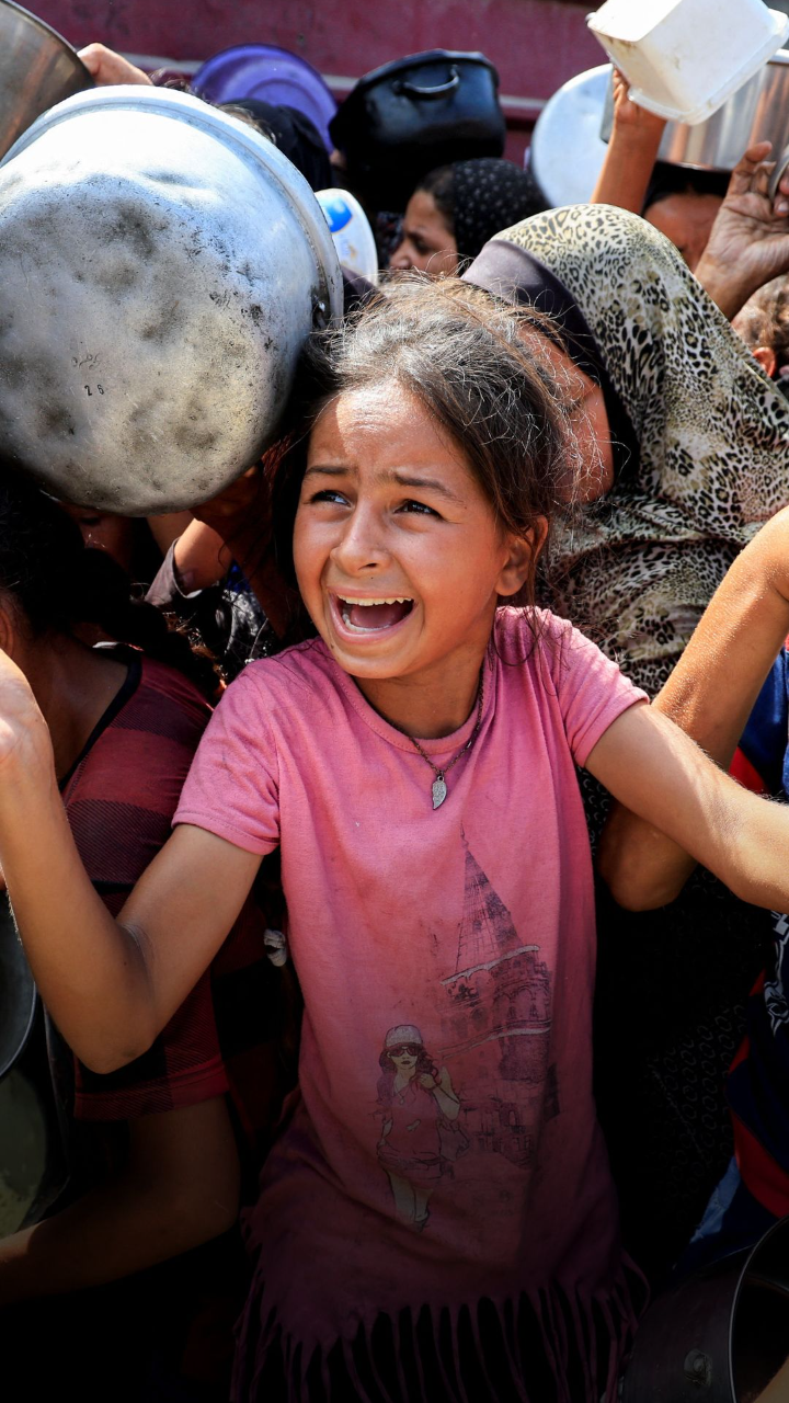 Gaza food crisis
