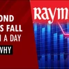 ₹1500 to ₹530: Why Raymond's share fell 65% in a day