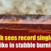 Punjab sees record single-day spike in stubble burning | Delhi air pollution | Delhi AQI | Farm fire