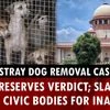 SC reserves verdict on stray dog removal; slams govt, civic bodies for inaction