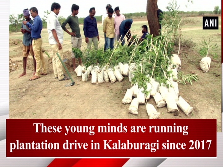 These young minds are running plantation drive in Kalaburagi since 2017