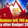 Trump tariff, Union Budget, FII selling: Why Sensex fell 700 points a day after Budget 2025?