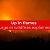 Up in flames: Surge in wildfires explained