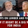US' tariffs on lumber and furniture: How it might be a big win for India | Trump tariffs | India-US