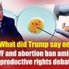 What did Trump say on IVF and abortion ban amid reproductive rights debate | Donald Trump | US