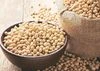 Soybean sowing